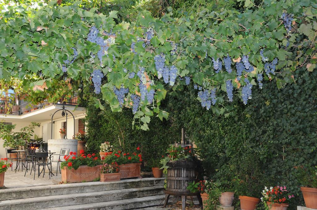 בית הארחה San Quirico dʼOrcia 	Casa Lemmi מראה חיצוני תמונה
