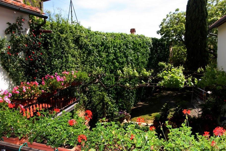 בית הארחה San Quirico dʼOrcia 	Casa Lemmi מראה חיצוני תמונה